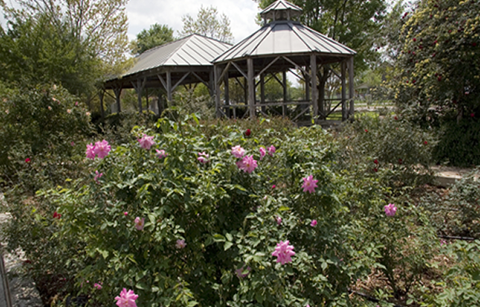 Rose Conservatory